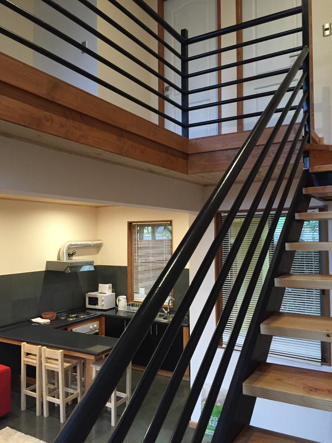 Aparthotel Loft Pucón Zewnętrze zdjęcie