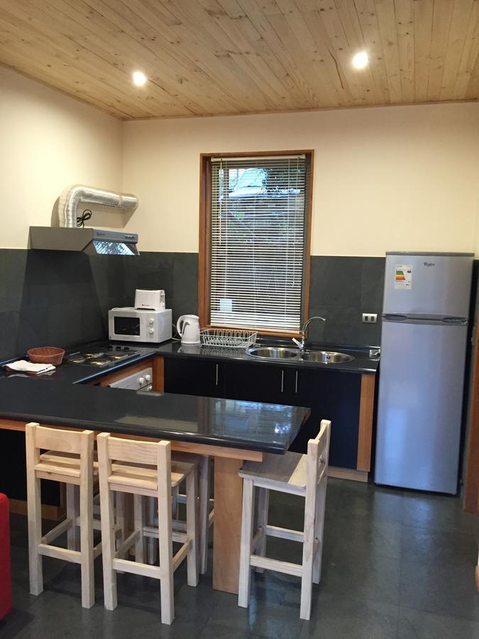 Aparthotel Loft Pucón Zewnętrze zdjęcie