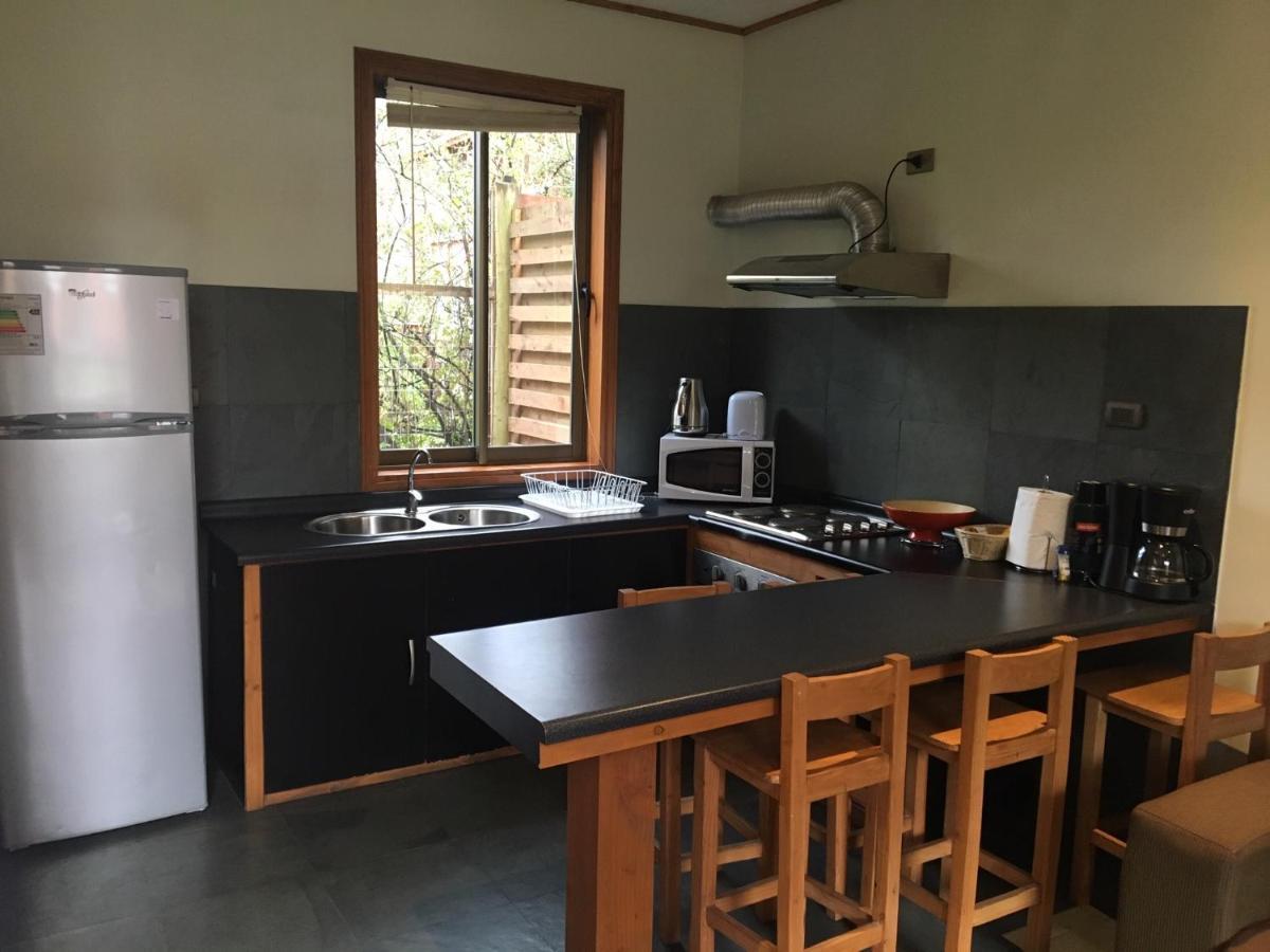 Aparthotel Loft Pucón Zewnętrze zdjęcie